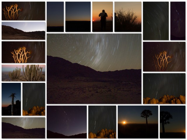 Various star trails shot on the Kokerboom Tour