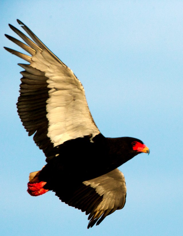 CNP SELECTION (3 of 14)