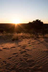 Project_20150617_0089