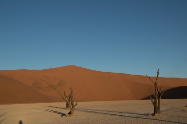 Project_20150620_0284